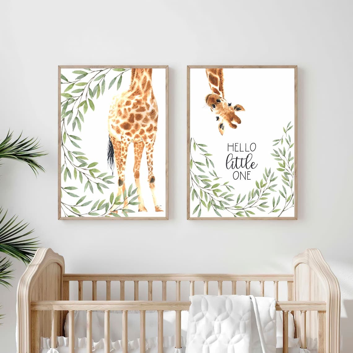 Girafa Espiadinha
